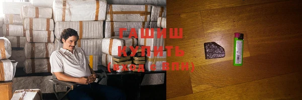индика Заволжск