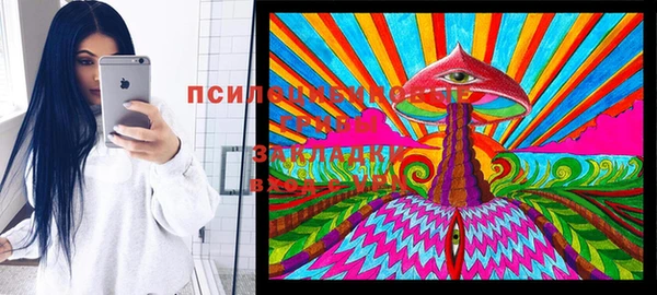 стафф Заволжье