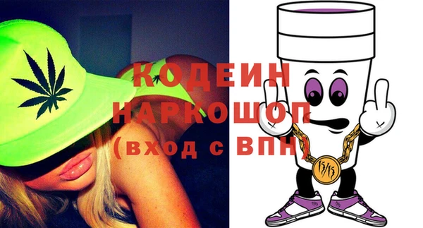 индика Заволжск
