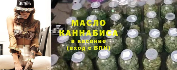 индика Заволжск
