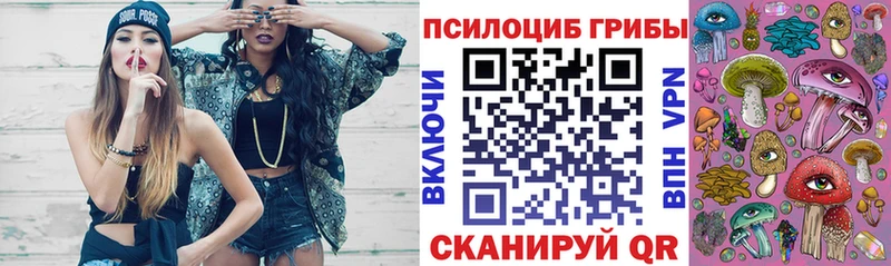 Псилоцибиновые грибы GOLDEN TEACHER  где купить наркоту  Липки 